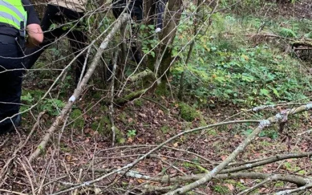 Policisté na Šumavě zadrželi dvě skupiny arabsky mluvících osob, pravděpodobně mířily do Německa