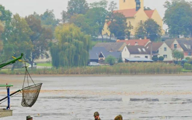 Začíná sezona výlovů. U Munického rybníku na Hluboké zazní hudba a bude vařit šéfkuchař