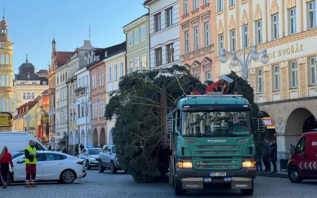 Náměstí Přemysla Otakara II. zdobí od soboty vánoční strom. Do Budějc ho přivezli z Neznašova