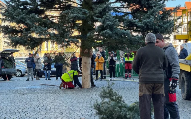 Náměstí Přemysla Otakara II. zdobí od soboty vánoční strom. Do Budějc ho přivezli z Neznašova