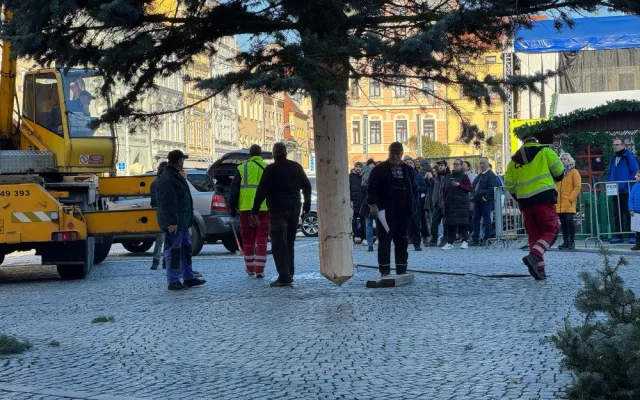 Náměstí Přemysla Otakara II. zdobí od soboty vánoční strom. Do Budějc ho přivezli z Neznašova
