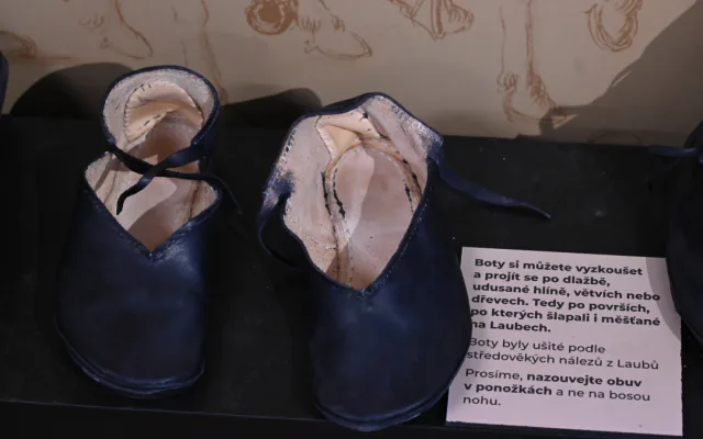 (NE)OBYČEJNÍ: Šumavský historik v Ostravě. Jak Filip Petlička mění muzeum