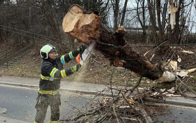 Silný vítr na jihu Čech komplikuje dopravu, hasiči odklízeli 12 popadaných stromů