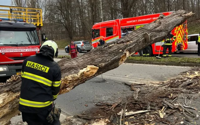 Silný vítr na jihu Čech komplikuje dopravu, hasiči odklízeli 12 popadaných stromů