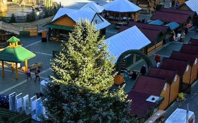 Budějovický vánoční strom dostane druhý život. Vyrobí z něj sochu do adventního městečka
