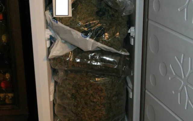 Žádný troškař. Muž měl u sebe šest kilogramů sušené marihuany, skladoval ji v lednici