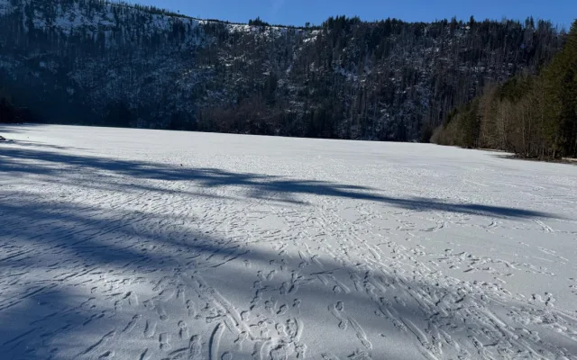 Návštěvníci Šumavy masivně vstupují na plochu zamrzlých jezer. Porušují tak zákon a riskují tučnou pokutu