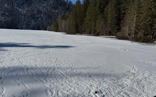 Návštěvníci Šumavy masivně vstupují na plochu zamrzlých jezer. Porušují tak zákon a riskují tučnou pokutu