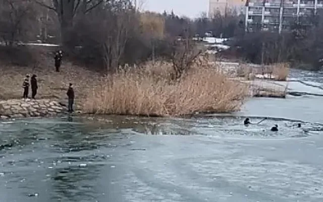 Tonoucí chlapce vytáhli z mrznoucí vody náhodní kolemjdoucí, jedním z nich byl táborský řidič záchranné služby