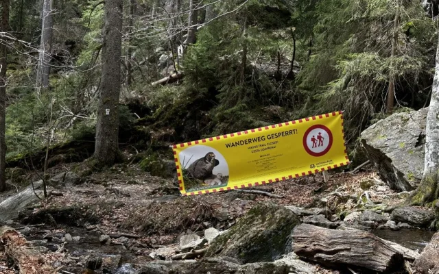 Takto je označena uzavřená cesta vedoucí na příhraniční horu Falkenstein