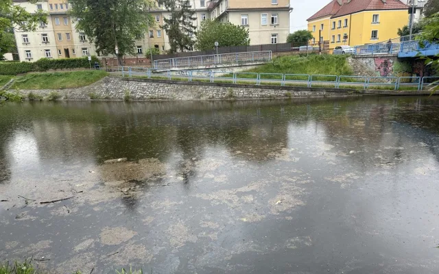 Mastná skvrna a mrtvé ryby. Hasiči monitorují podezřelé znečištění Malše