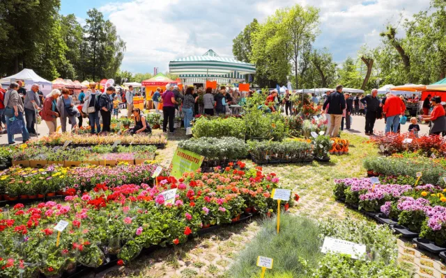 Vyhrajte vstupenky na výstavy Hobby a Czech Food Expo