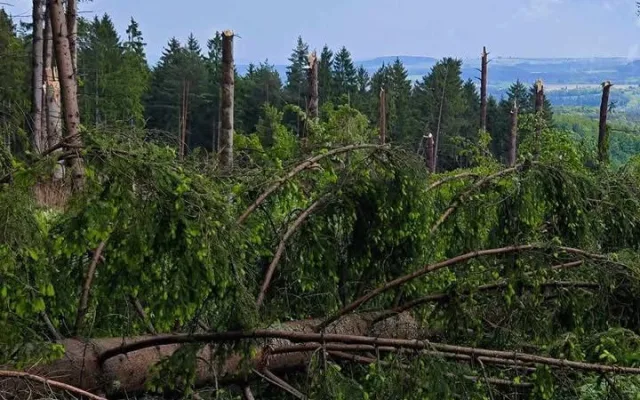 U Českého Krumlova se objevilo tornádo. Znělo to jako jedoucí kolona bagrů, popisují svědci