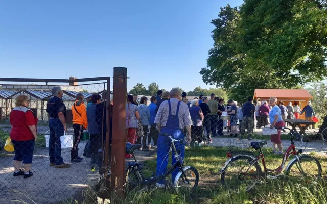 Startuje populární samosběr jahod ve Vodňanech. Přijďte si natrhat čerstvé a chutné plody