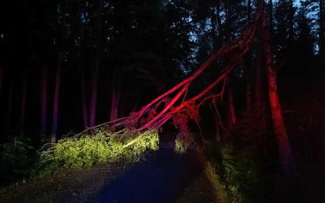 Hasiči řešili kvůli bouřkám hlavně popadané stromy
