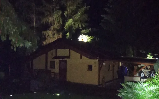 Hasiči řešili kvůli bouřkám hlavně popadané stromy
