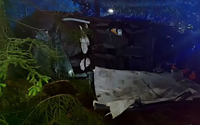 Auto vylétlo ze silnice a skončilo v bažině. Vyprošťování komplikoval přelomený strom