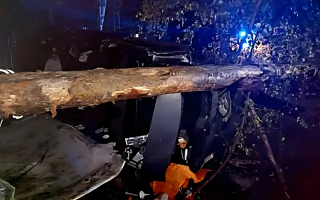 Auto vylétlo ze silnice a skončilo v bažině. Vyprošťování komplikoval přelomený strom