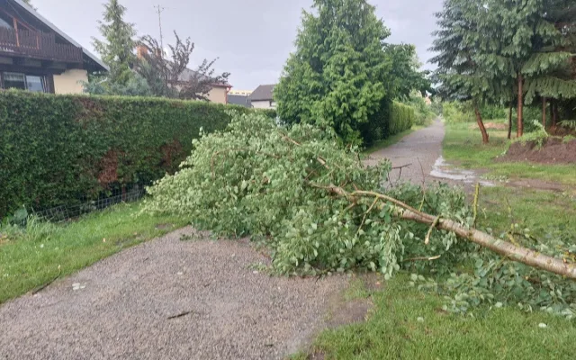 Silná bouřka zaměstnala hasiče.