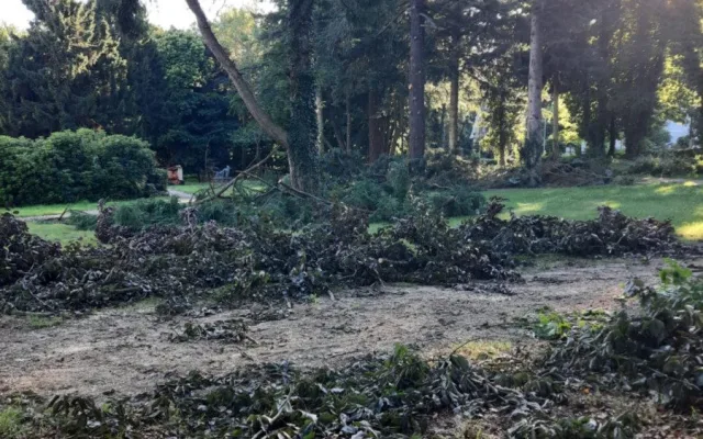 Týraná zvířata nahradí dinosauři. Zámek v Chlumu mění tvář i navzdory vyšetřování