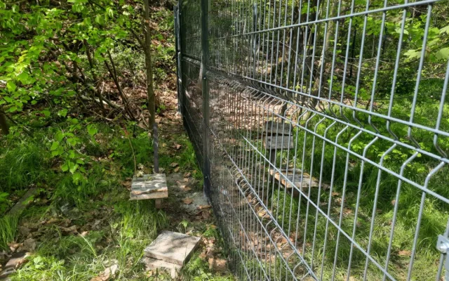 Týraná zvířata nahradí dinosauři. Zámek v Chlumu mění tvář i navzdory vyšetřování