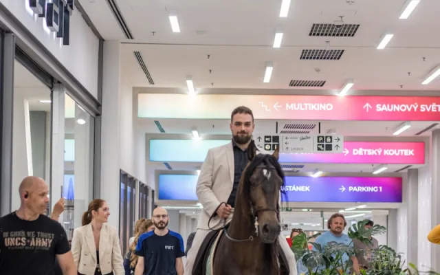 Požádat o ruku přijel přítelkyni do Igy Centra na koni. Řekla ANO