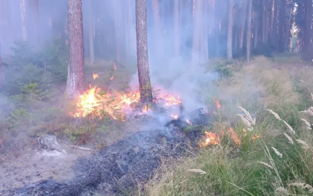 U Sepekova shořelo půl hektaru lesa