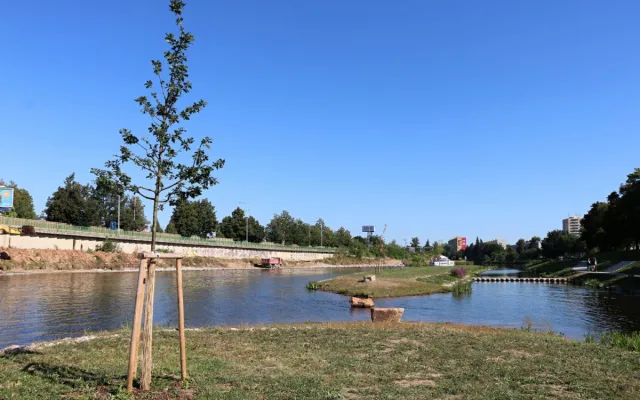 Sluneční ostrov po více než měsíci fungování. Jak projekt hodnotí lidé?
