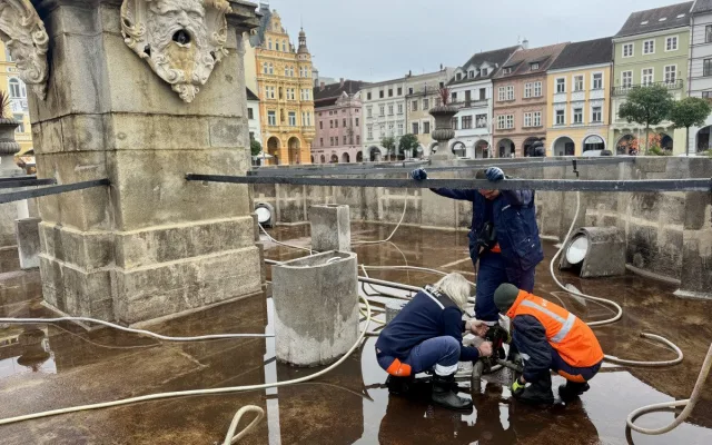 Samson je před zimou ve skvělé kondici, ohleduplní k němu byli letos i turisti