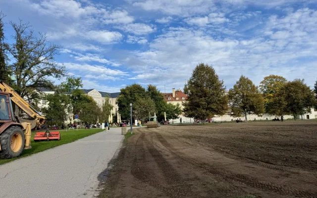 Sokolák se proměnil v oraniště, na jaře se opět zazelená
