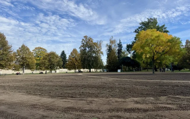Sokolák se proměnil v oraniště, na jaře se opět zazelená