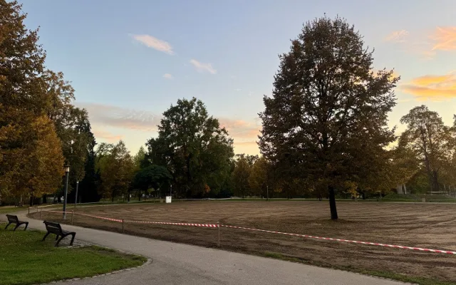 Sokolák se proměnil v oraniště, na jaře se opět zazelená
