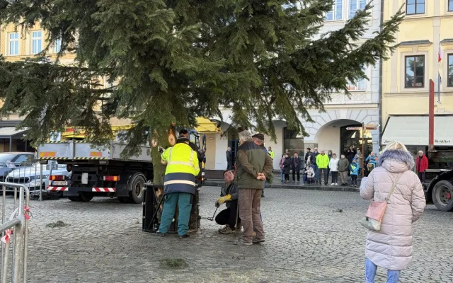 Nový vánoční strom je na místě. Pětadvacetiletá jedle se rozsvítí na konci měsíce