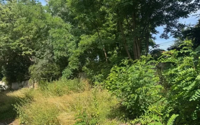 Na přeměnu zahrady nízkoprahového klubu PREVENTu 99 mohou přispět dárci