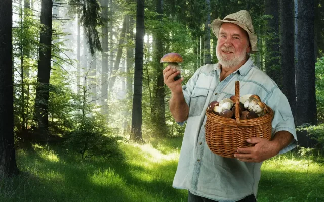 Zážitky pod stromeček - jižní Čechy nabízí originální dárky pro celou rodinu