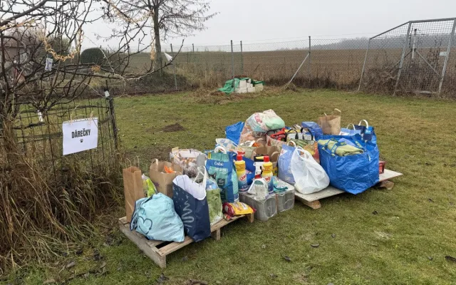 Vánoce v útulku Animal Rescue. Venčení pejsků, opékání buřtů a hromada lásky