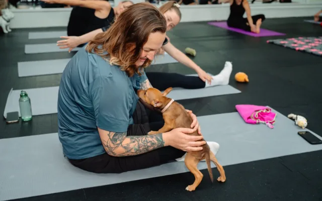 Puppy jóga spojuje relaxaci lidí se zdravou socializací štěňat