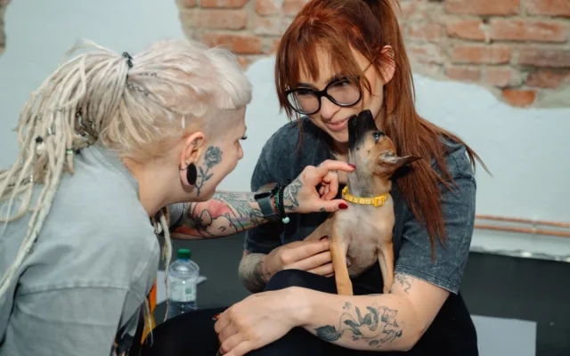 Puppy jóga spojuje relaxaci lidí se zdravou socializací štěňat