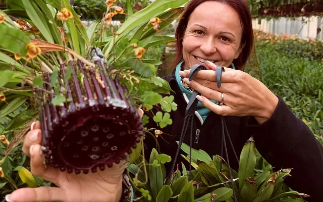Stovky orchidejí a dalších exotických rostlin zaplnily Jihočeské muzeum