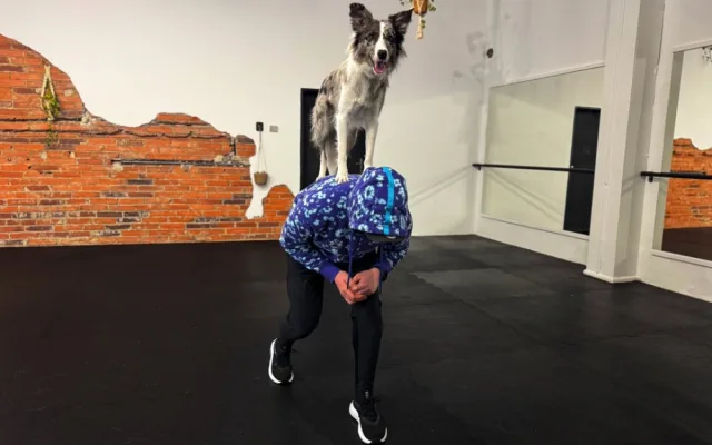 Dog dancing spojuje triky, pohyb a souhru psa s majitelem v rytmu hudby