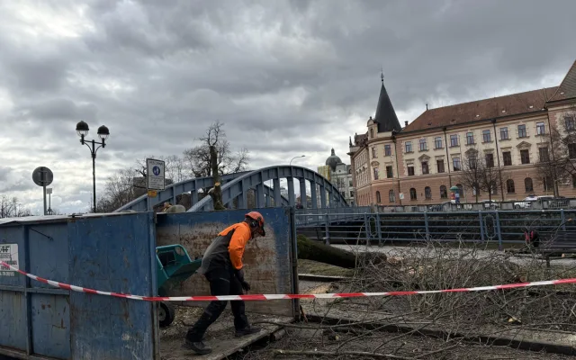 Stromy u Malše padly. Ustupují nové náplavce