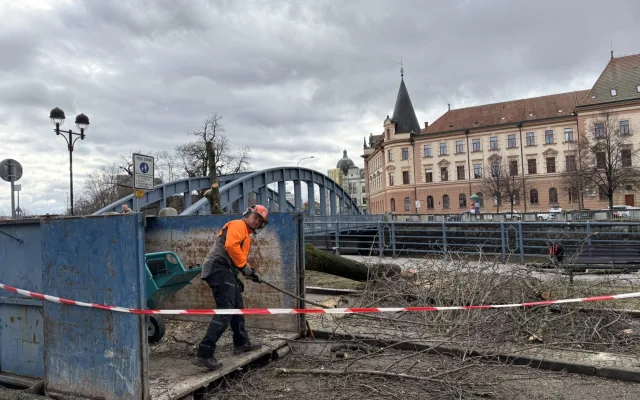 Stromy u Malše padly. Ustupují nové náplavce