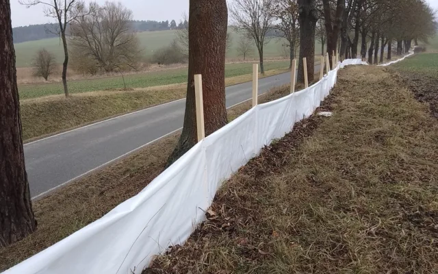 Nebezpečná cesta za láskou. Obojživelníky na Písecku chrání speciální bariéry