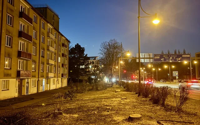 Devět javorů u mostu Kosmonautů šlo k zemi. Stromy ustoupily stavbě nového mostu