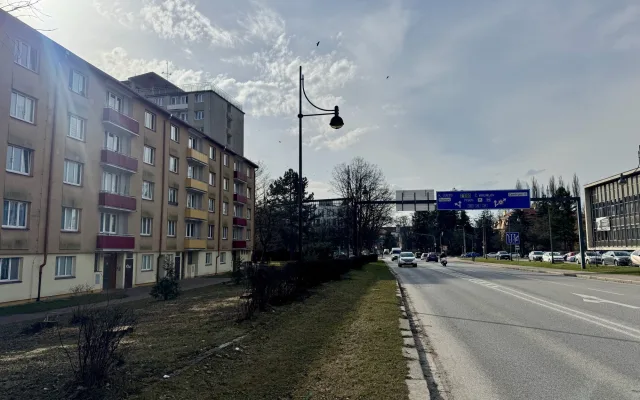 Devět javorů u mostu Kosmonautů šlo k zemi. Stromy ustoupily stavbě nového mostu