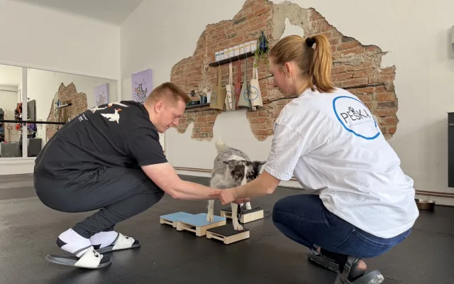 Dog fitness posiluje psí tělo a pomáhá předcházet zraněním