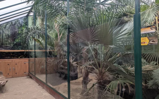 V Zoo Dvorec přibyl téměř čtyřmetrový krokodýl. Samice dorazila od Karlose Vémoly