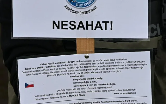 Kormoráni vzali Otavu útokem. Písek řeší úbytek ryb plovoucím trdlištěm