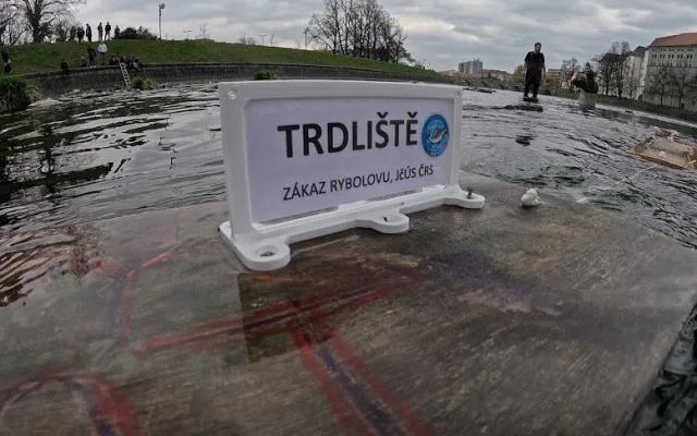 Kormoráni vzali Otavu útokem. Písek řeší úbytek ryb plovoucím trdlištěm