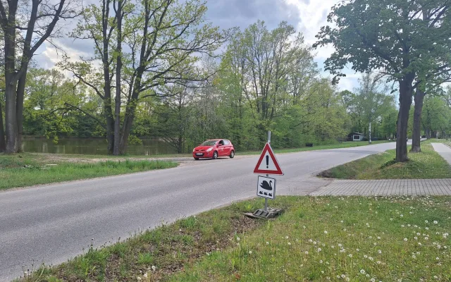 Do Litvínovic se vrátila labutí rodinka. Má sedm mláďat, obec znovu varuje řidiče